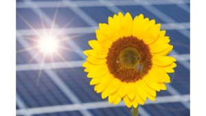 Como funcionam os tipos de energia solar