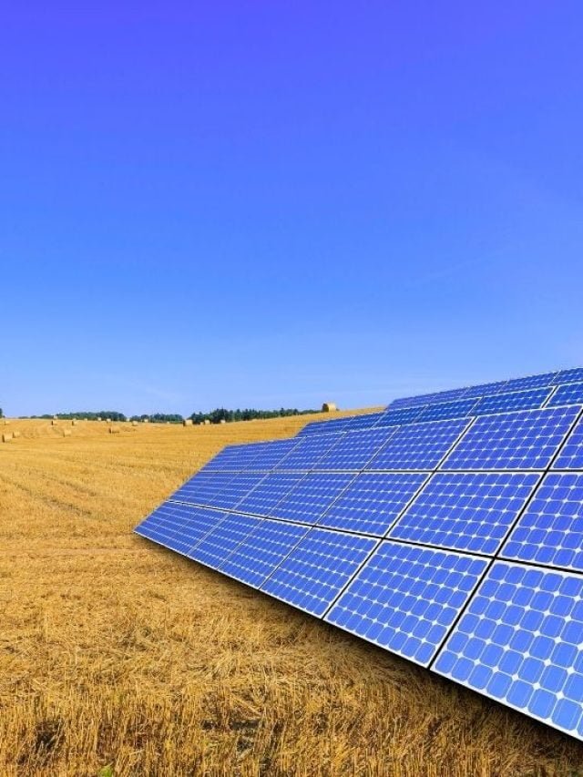 Como encontrar clientes de energia solar no agronegócio?