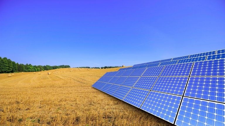 7 dicas para arrendar terra para energia solar