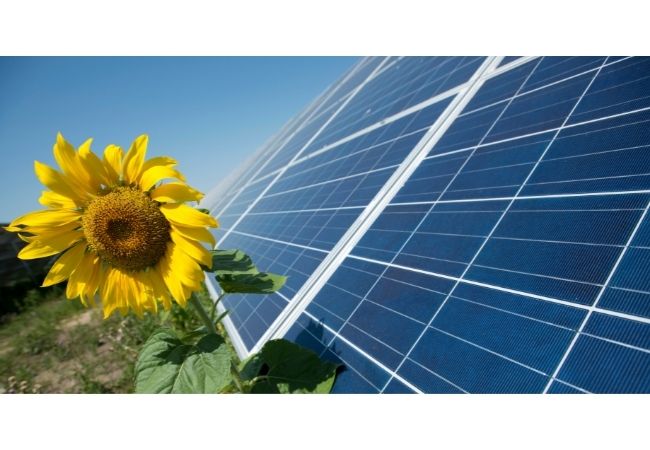 A energia solar se adequa a diversas realidades que encontramos no meio rural