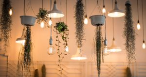 lâmpadas mais econômicas