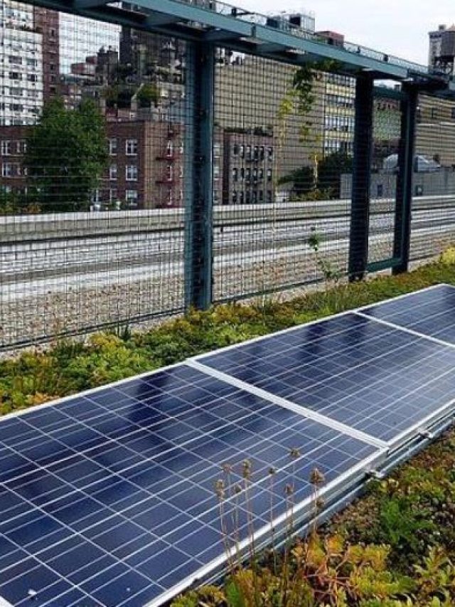 Telhado verde e energia solar: Conheça essa iniciativa