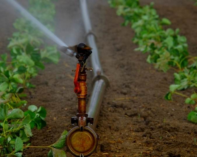 Na irrigação e bombeamento de água na agricultura