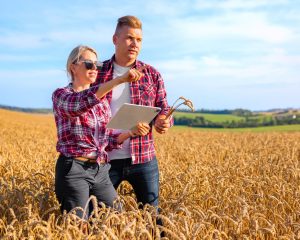 A revolução de energia solar no agronegócio