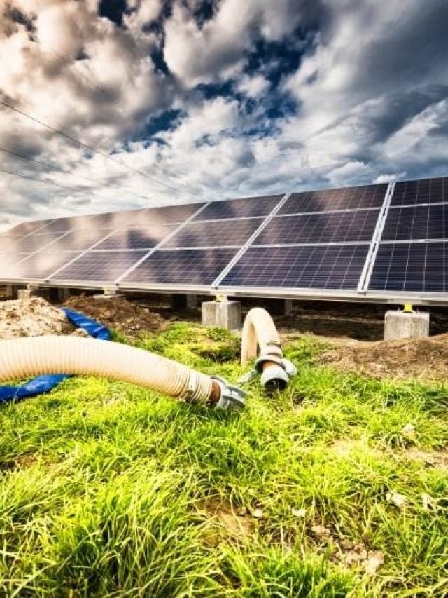 Cresce o uso de energia solar no agronegócio brasileiro
