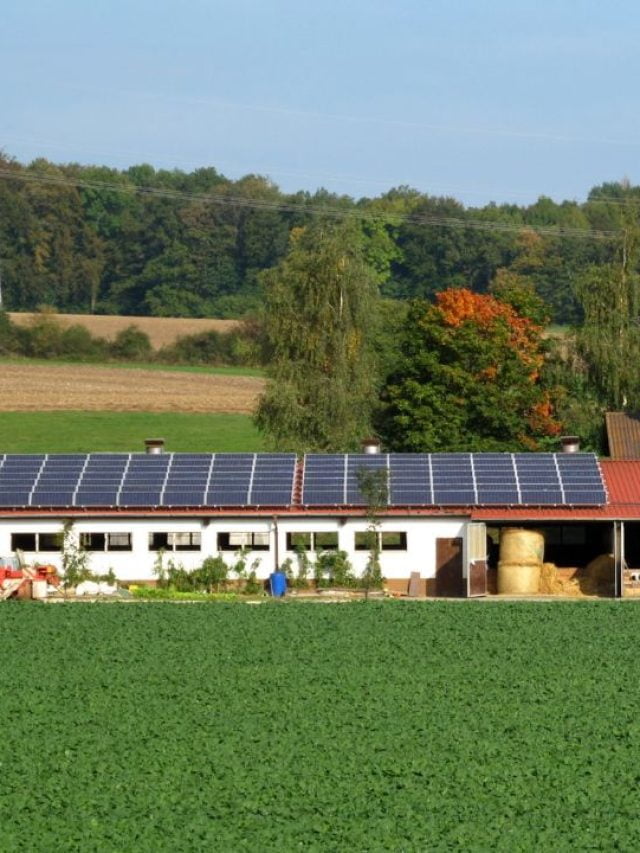 A revolução da energia solar no agronegócio