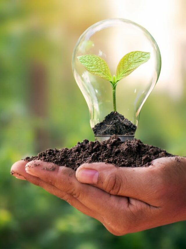 Confira rudo o que você precisa saber sobre o Ecoenergy 2022