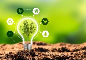 lampada com planta dentro