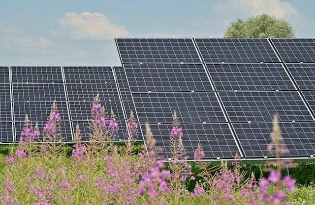 Energia solar: mais uma universidade sustentável