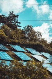 energia solar e o impacto na biodiversidade