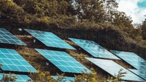 energia solar e o impacto na biodiversidade