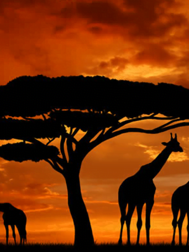 Captura de Tela 2022-10-17 às 15.21.52