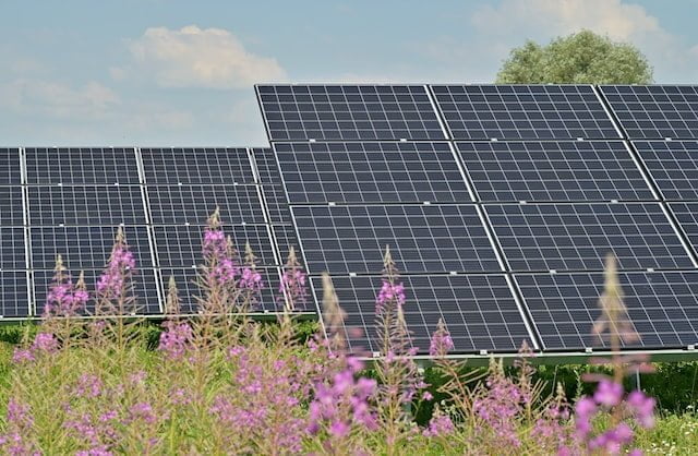 Governo canadense auxilia a energia solar no país