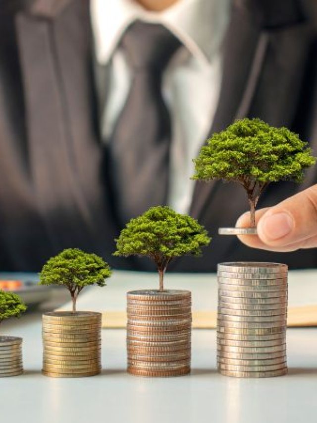 pilha de moedas e arvore