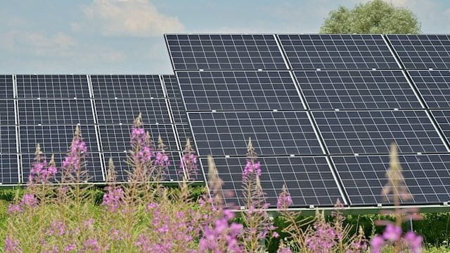 Painéis solares com restauração ambiental