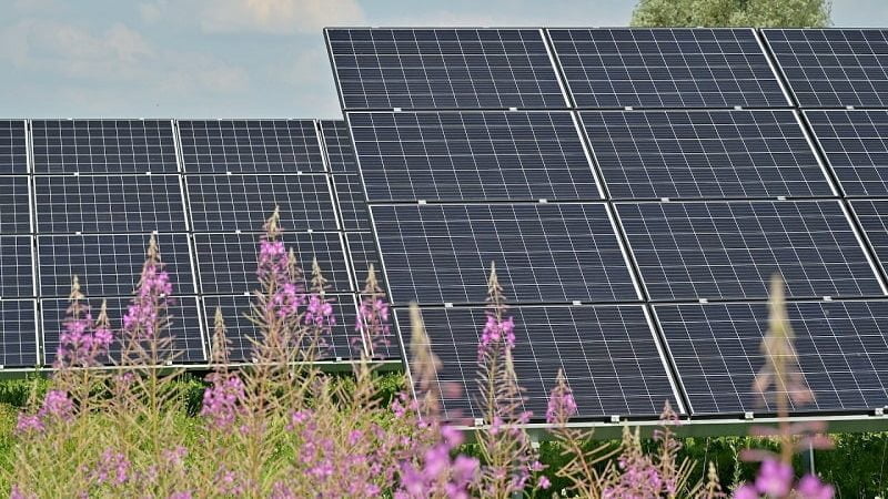 Energia solar e agricultura podem ser grandes aliadas