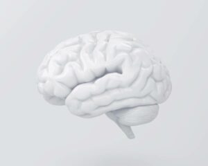 Como usar vieses cognitivos para aumentar suas vendas de energia solar