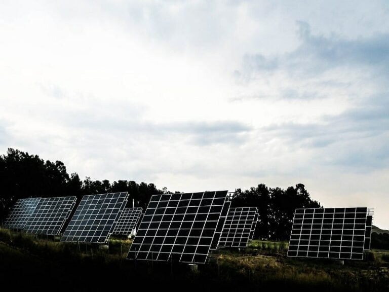 Energia solar ajuda fazendas e diversidade ambiental
