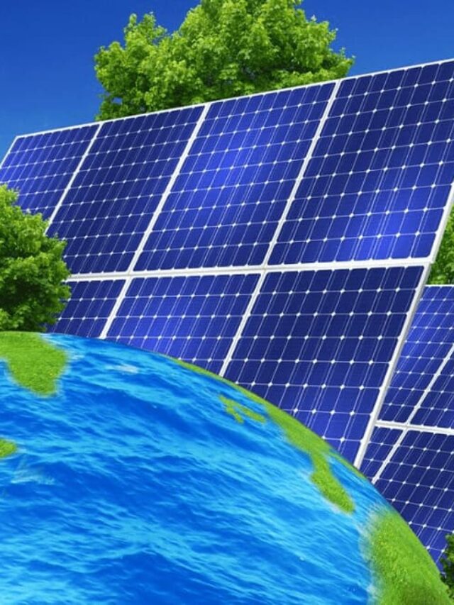 Energia solar biodiversidade