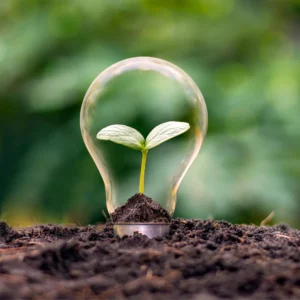 Planta dentro de lâmpada simbolizando a energia verde, limpa.