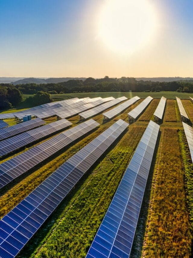 painéis solares em campo com sol