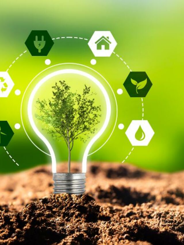 Mais sustentabilidade e respeito com o meio ambiente