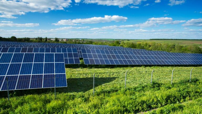 Incentivo ao uso da energia solar na agricultura familiar, entenda o projeto!