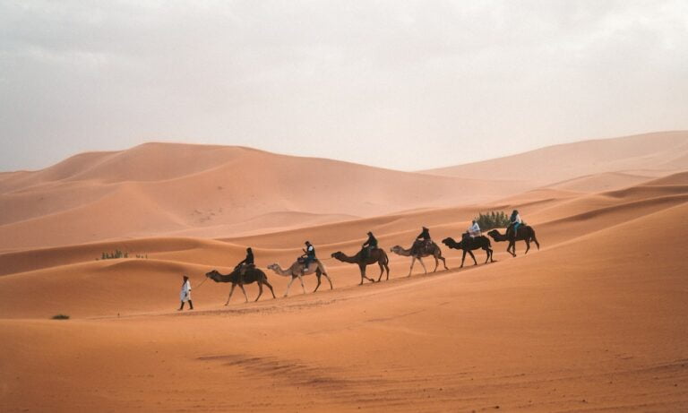 Marrocos no mercado de energia renovável