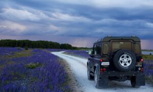 carro viajando em estrada com flores de lavanda
