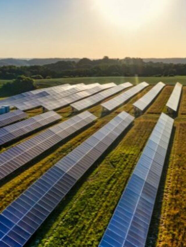 Empresa portuguesa investe 2,3 bilhões de reais em energia solar no Brasil