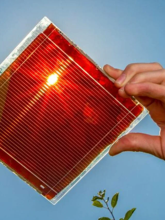 Corantes Orgânicos Revolucionam o Transporte de Energia em Células Solares